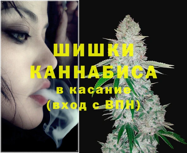 гидра Алексеевка