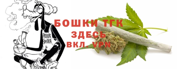 гидра Алексеевка