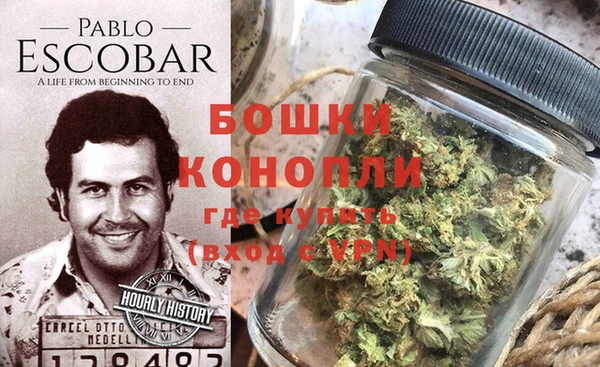 гидра Алексеевка