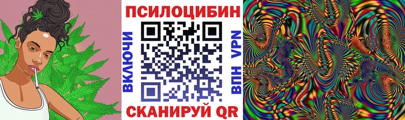 Псилоцибиновые грибы Magic Shrooms  hydra онион  Дно 